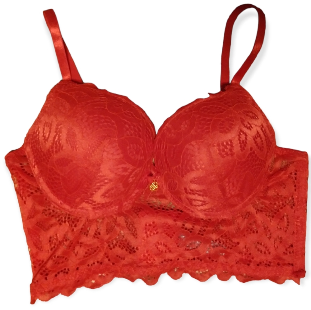 Daisy Fuentes Intimates Long line Lace Push Up Bra Hot Sauce Red